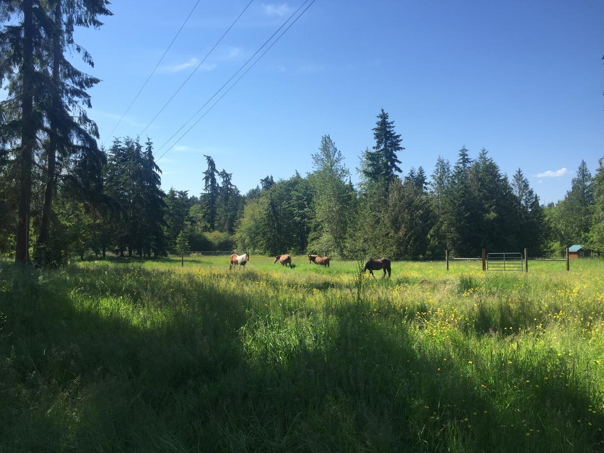 Hotel Bond Ranch Retreat Sequim Exterior foto